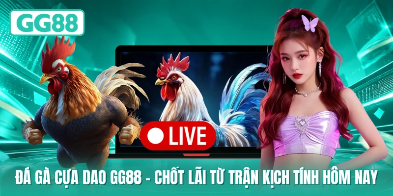 Đá Gà Cựa Dao GG88 - Chốt Lãi Từ Trận Kịch Tính Hôm Nay